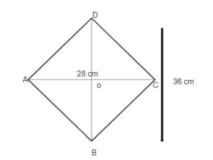 worksheet on quadrilateral example 6