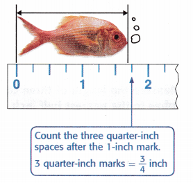 McGraw Hill My Math Grade 3 Chapter 12 Lesson 6 Answer Key Measure to Halves and Fourths of an Inch 5