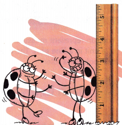 McGraw Hill My Math Grade 4 Chapter 11 Lesson 8 Answer Key Display Measurement Data in a Line Plot 6