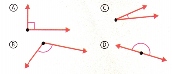 McGraw Hill My Math Grade 4 Chapter 14 Lesson 4 Answer Key Classify Angles 8