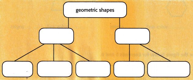 McGraw Hill My Math Grade 5 Chapter 12 Answer Key Geometry 7