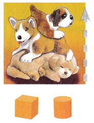McGraw Hill My Math Kindergarten Chapter 12 Lesson 3 Answer Key Compare Solid Shapes 5