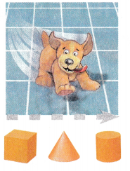 McGraw Hill My Math Kindergarten Chapter 12 Lesson 3 Answer Key Compare Solid Shapes 6