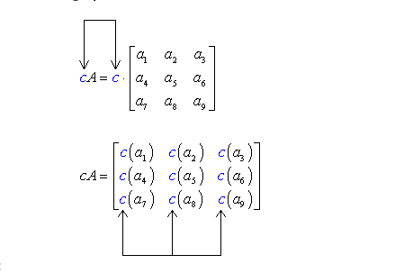 Scalar multiplication of a matrix