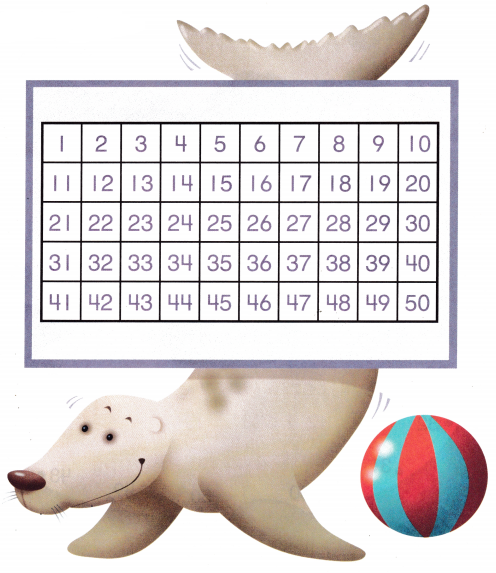 McGraw Hill My Math Kindergarten Chapter 3 Lesson 8 Answer Key Count to 50 by Ones 3