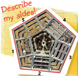 McGraw Hill My Math Grade 5 Chapter 12 Lesson 1 Answer Key Polygons_1