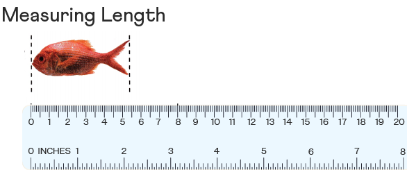 McGraw Hill My Math Grade 5 Chapter 11 Lesson 9 Answer Key Metric Rulers q2