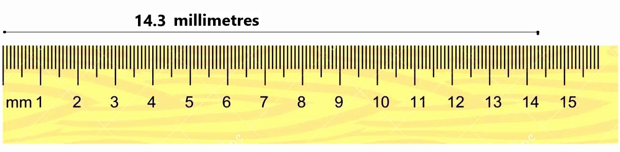 McGraw Hill My Math Grade 5 Chapter 11 Lesson 9 Answer Key Metric Rulers q6