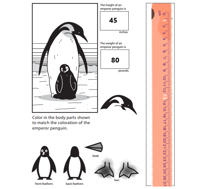 Bridges-in-Mathematics-Grade-1-Student-Book-Unit-6-Answer-Key-Figure-the-Facts-with-Penguins-18