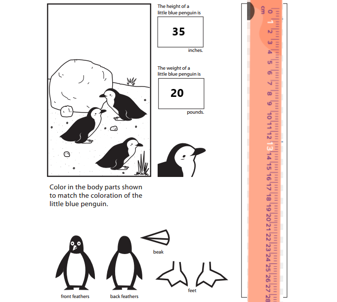 Bridges-in-Mathematics-Grade-1-Student-Book-Unit-6-Answer-Key-Figure-the-Facts-with-Penguins-19