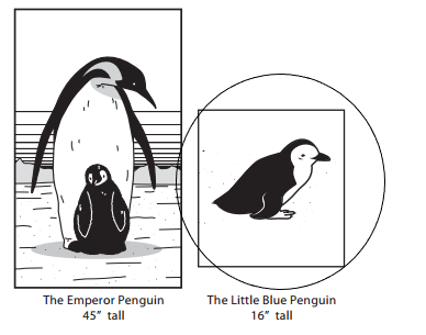 Bridges-in-Mathematics-Grade-1-Student-Book-Unit-6-Answer-Key-Figure-the-Facts-with-Penguins-22