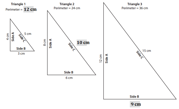 Bridges-in-Mathematics-Grade-3-Student-Book-Answer-Key-Unit-8-Module-2-Fractional Parts-Triangle Perimeters-1